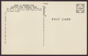 Zebras.Memphis Zoo,Overton Park,Memphis,TN