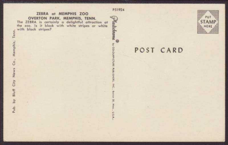 Zebras.Memphis Zoo,Overton Park,Memphis,TN