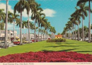 Florida Palm Beach Royal Poinciana Way