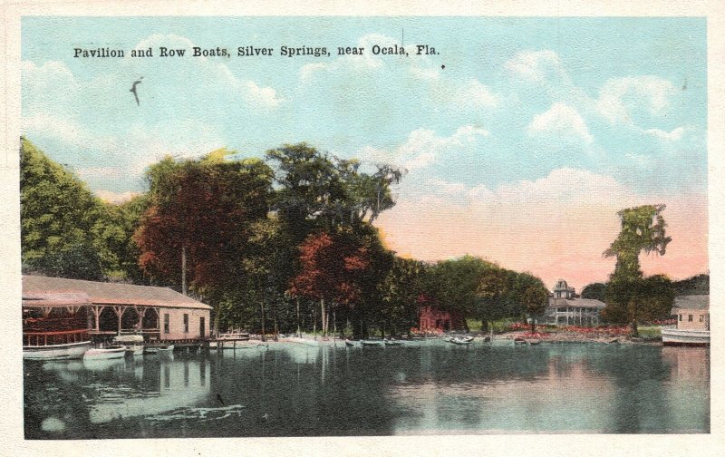 Vintage Postcard Pavilion And Bow Boats Silver Springs Near Ocala Florida E. C. 