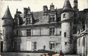 CPA Le Chateau d'AMBOISE (298699)