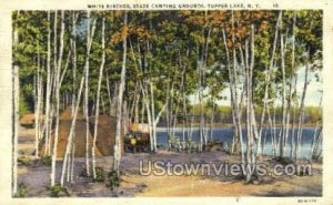 White Birches, State Camping Grounds - Tupper Lake, New York NY  
