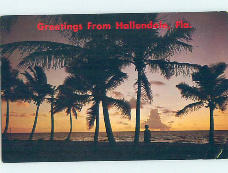 Pre-1980 PALM TREE SILHOUETTE Hallandale - Near Miami Beach Florida FL AD5792