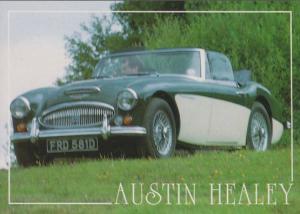 Austin Healey FRD 581D Shady Man at Steering Wheel 1980s Classic Car Postcard