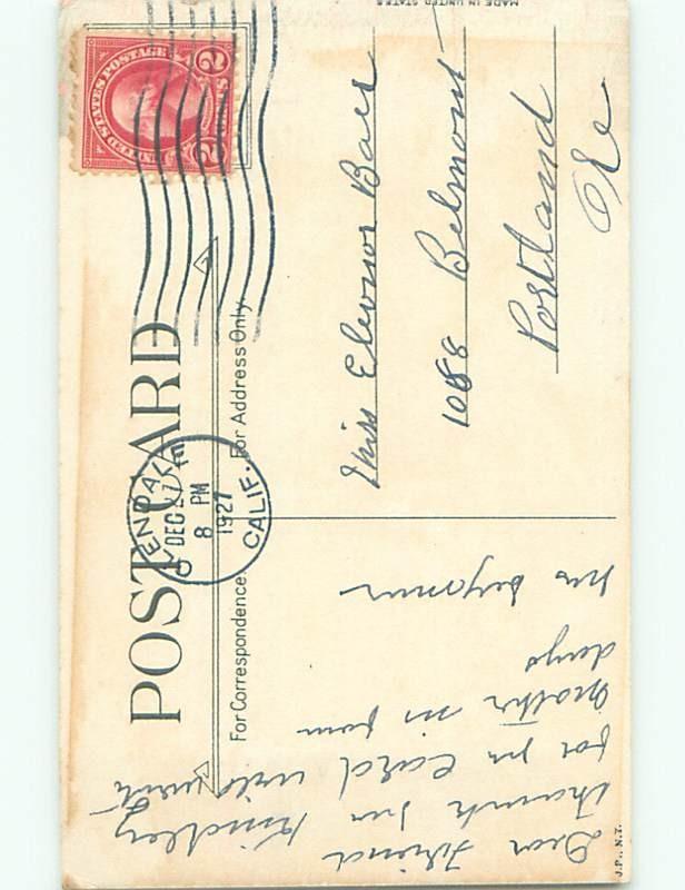 Divided-Back CHRISTMAS BIRDS SCENE Pretty Postcard W8558