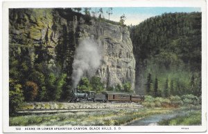 US Black Hills, South Dakota. Scene in Lower Spearfish Canyon. Mint.