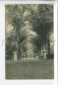 432806 Singapore Botanical Garden entrance Vintage postcard