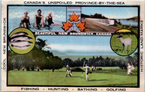 1920s Canada's Unspoiled Province New Brunswick Canada Advertising Postcard