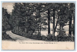 1905 Pine Grove Drive Along Canandaraga Lake Richfield Springs New York Postcard 