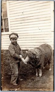 postcard -Young Boy in Pinstripe outfit feeding corn to sheep c1904-1918