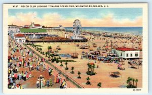 2 Postcards WILDWOOD by the SEA, NJ~ Beach Club OCEAN PIER Ferris Wheel c1930s