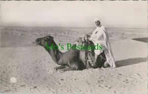 Animals Postcard - Camel - Scenes & Types D'Afrique Du Nord  RS26581