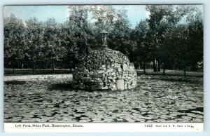 BLOOMINGTON, Illinois IL  Lily Pond MILLER PARK ca 1910s  Photoette Postcard