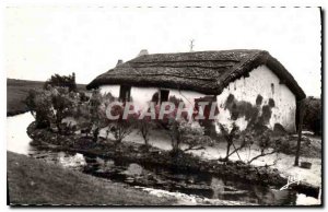 Old Postcard Au Pays de Monts Vendee Old Bourine Marais