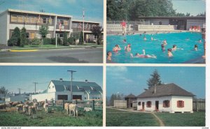 LANGLEY, British Columbia, Canada, 1940-60s; City Hall & Health Offices, Swim...