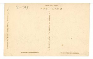 VT - Manchester. Main Street 