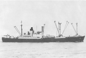 SS Delamere W.A. Statships Unused 