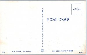 Greetings from Detroit Michigan The Motor Capital of the World Michigan Postcard