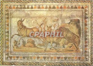 Postcard Modern Museum of El Jem asses Beset by a Carthage Tiger Exhibition i...