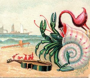 1880s Victorian Trade Card Fantasy Beach Scene Nautilus Playing Guitar P104