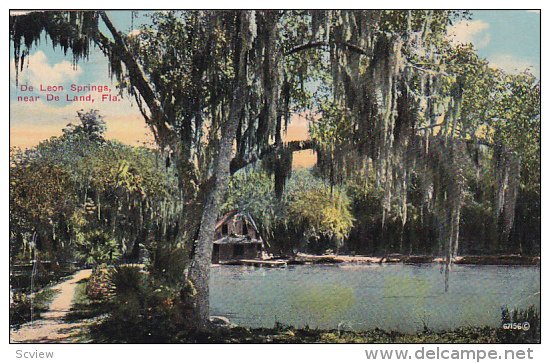 De Leon Springs near, DE LAND, Florida, PU-1910