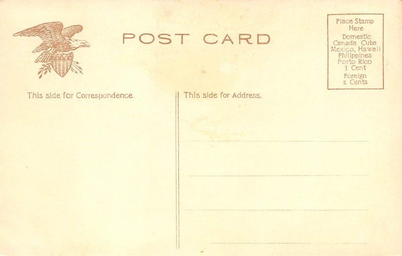 Wheeling West Virginia c1910 Postcard McClure House