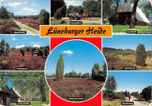 uk36852 luneburger heide germany lot 9 uk