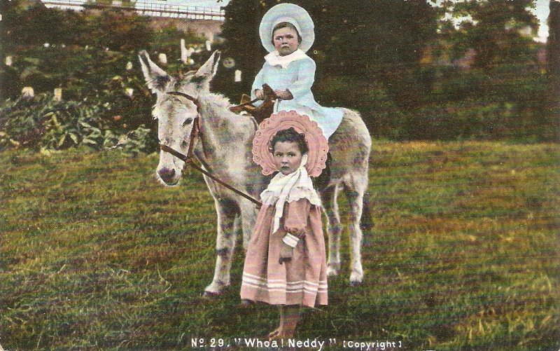 Little children with donkey. Whoa! Neddy Old vintage English postcard