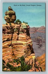 Grand Canyon AZ, Duck On The Rock, Linen Arizona Postcard