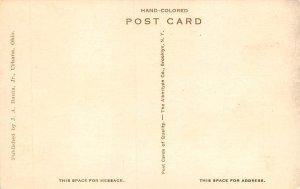 Willow Drive Urbana, Ohio OH Postcard