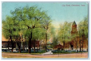 c1910 City Park Exterior Building Street Oskaloosa Iowa Vintage Antique Postcard