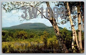 QLS - Ham Radio Call Sign -Stroudsburg, Pennsylvania - Postcard