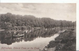 Nottinghamshire Postcard - Colwick Trees On The Trent - Nottingham - Ref 606A