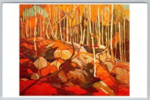 The Birch Grove, Autumn - Art Postcard By Tom Thomson