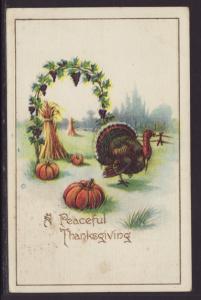 A Peaceful Thanksgiving,Turkey,Pumpkins Postcard