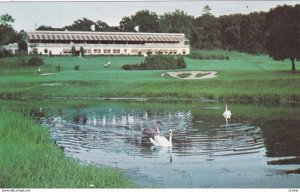 WHITE SULPHUR SPRINGS, West Virginia, 1940-60s; The New Greenbrier and Cottag...