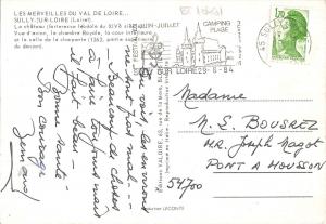 BT10461 Sully sur loire le chateau      France