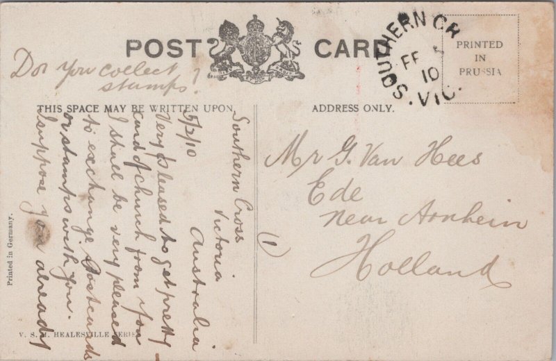 Australia Lower Mathinna Falls Healesville Vintage Postcard C126