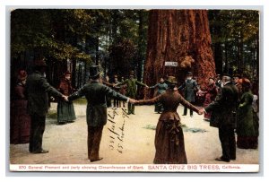 General Fremont Showing Big Trees Circumference Santa Cruz CA DB Postcard U14