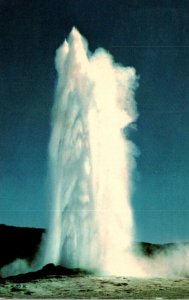 Yellowstone National Park Old Faithful Geyser 1965