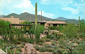 Arizona Tucson Arizona Sonora Desert Museum