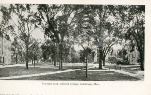 Postcard Antique View of Harvard Yard, Harvard College, Cambridge, MA.   K2