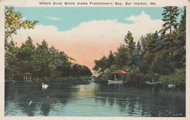 Where Duck Brook meets Frenchman's Bay - Bar Harbor, Maine - WB