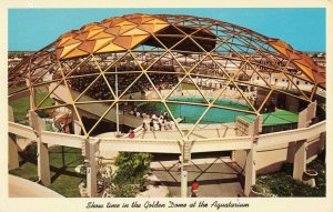 Postcard Golden Dome at the Aquarium St Petersburg Beach Florida