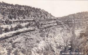 Arizona Walnut Canyon Real Photo