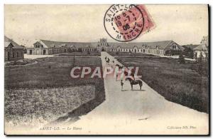 Old Postcard Saint Lo Le Haras Horses