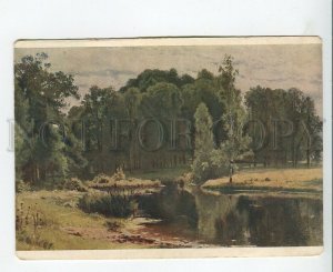 458696 USSR 1951 year Shishkin stream in the forest old postcard