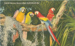 Miami FL Parrot Jungle Colorful Macaws Linen Unused