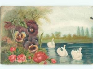 Divided-Back BIRDS SCENE Pretty Postcard AA8848