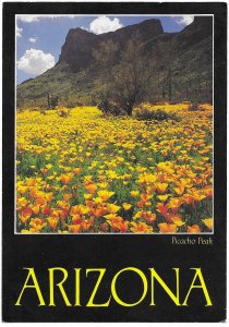 US Arizona. Poppies blanket and Picacho Peak.  Mint Card.